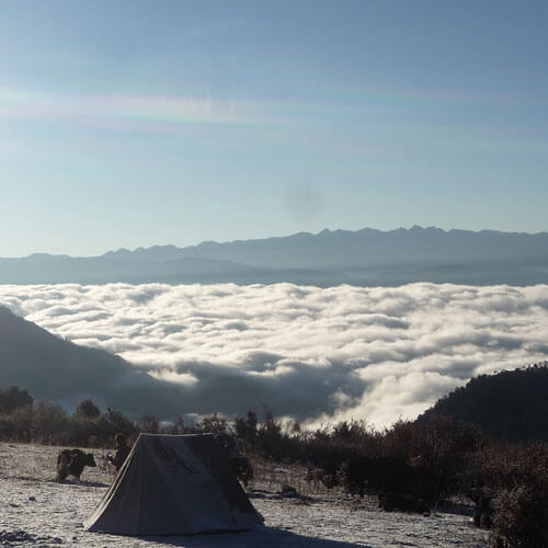 Yak herders camp