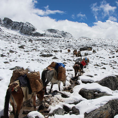 Snowman Trek